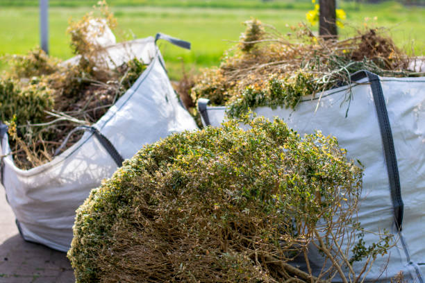Best Residential Junk Removal  in White Mountain Lake, AZ
